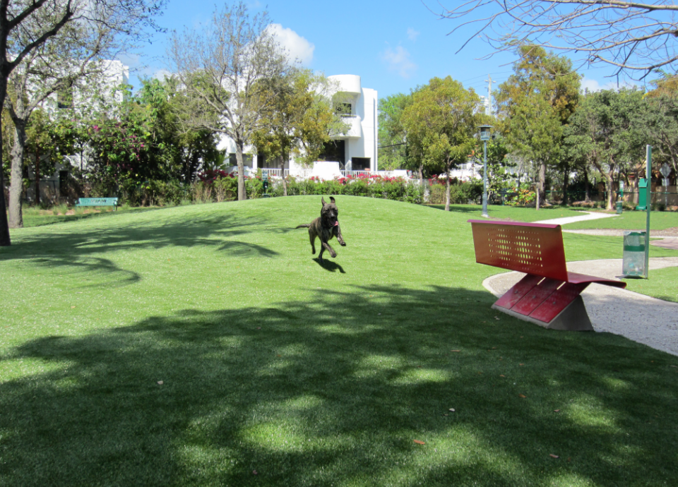 artificial grass dog park in Ohio