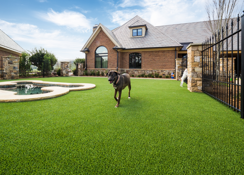 artificial grass for fenced dog area at Ohio home